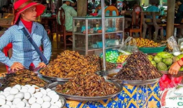 柬埔寨吃瓜最新事件爆料,揭秘背后惊人真相